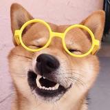 用户3823779873273头像