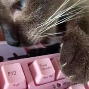Lee_s_Engineer的个人资料头像