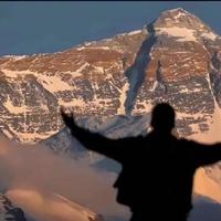 招财进宝小喇叭886头像