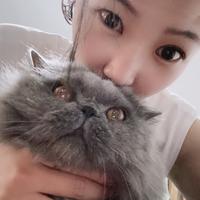 小火龙八头像