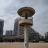sn内德维德头像