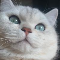 用户5887701197499头像