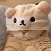 秋去冬来的个人资料头像