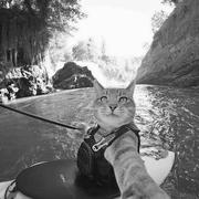 用户5905209152138的个人资料头像