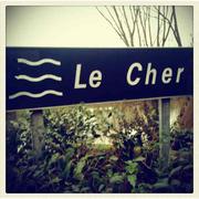 GUESS29的个人资料头像