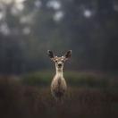 Jxdkdj的个人资料头像