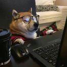 zyc111的个人资料头像