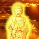 泰达广告传媒有限公司头像