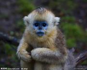 奇数的个人资料头像