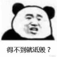 墩大帅头像