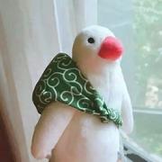 叫我小辰的个人资料头像