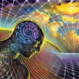脑科学与艺术张老师头像