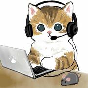 小熊猫Q3的个人资料头像