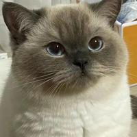 用户2938491764065头像