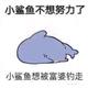 雨黎头像