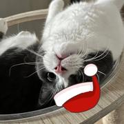 实验小学二年级3班卫生角垃圾桶的个人资料头像