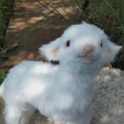 捉刀客428的个人资料头像