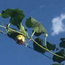 老潘同学的个人资料头像