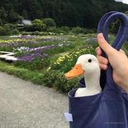 温似然的个人资料头像