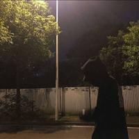 心动的铁憨憨头像