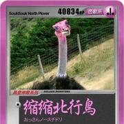 kasim的个人资料头像