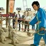猴不群头像