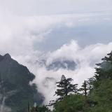 ZHONG1307129头像
