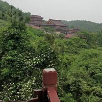 海阔灬凭鱼跃头像