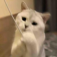易烊姚玺头像