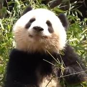 用户9687892888088的个人资料头像