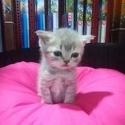 小雨天气576的个人资料头像