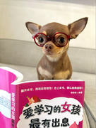 duoke球球的个人资料头像