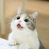 用户8237607773338头像