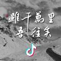 阿鹏大官人头像