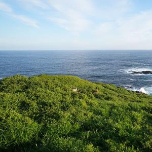 一个"New Chat"按钮，为什么要重构整个架构？