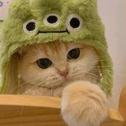 闪闪260的个人资料头像