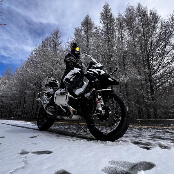 生爷的快乐生活头像