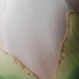 远游A头像