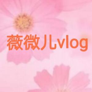 薇微儿vlog头像