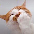 露540的个人资料头像