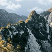 倚山观澜的个人资料头像