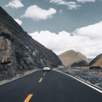 叙利亚佩琪头像