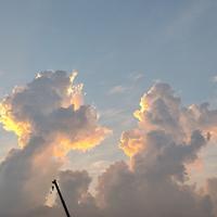 额额额呃呃呃吼吼头像