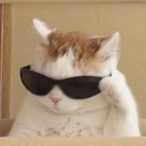 金铭来咯的个人主页 西瓜视频