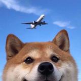 TA来自宇宙头像