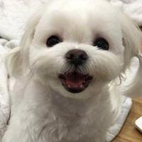 快乐每天yzy头像