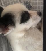 用户8646925729613头像