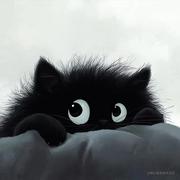 九只小孤的个人资料头像