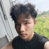 自强不息柳叶k0头像