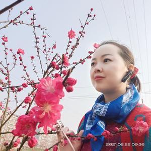 雨姐旅行头像